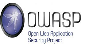 OWASP Guides